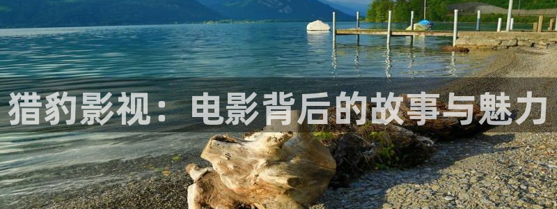 6080青苹果电影院